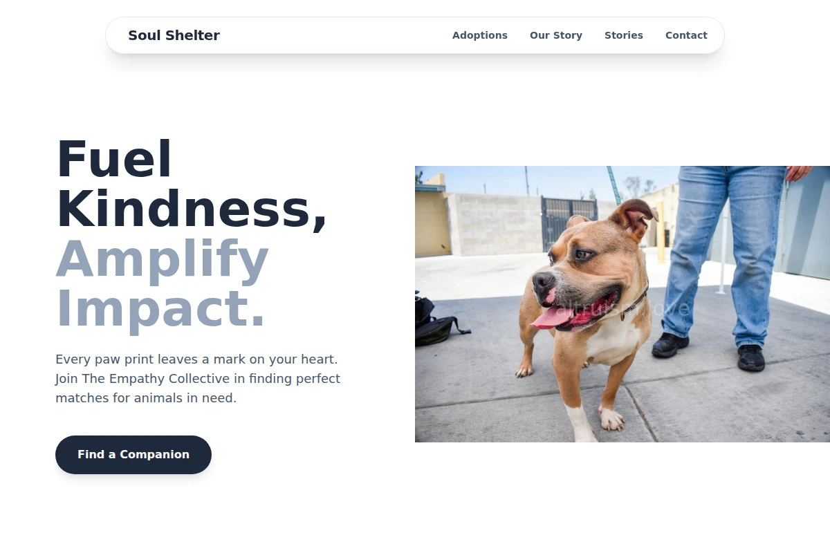 Soul Animal Shelter