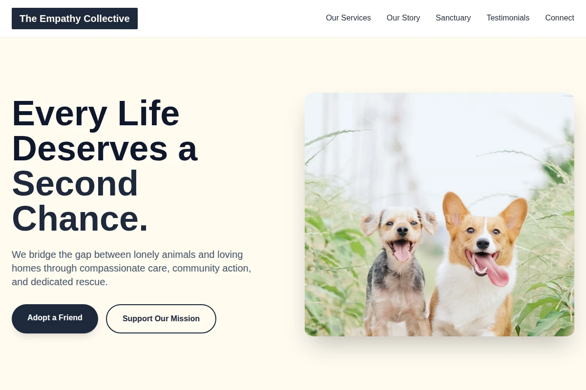 Haven Animal Shelter