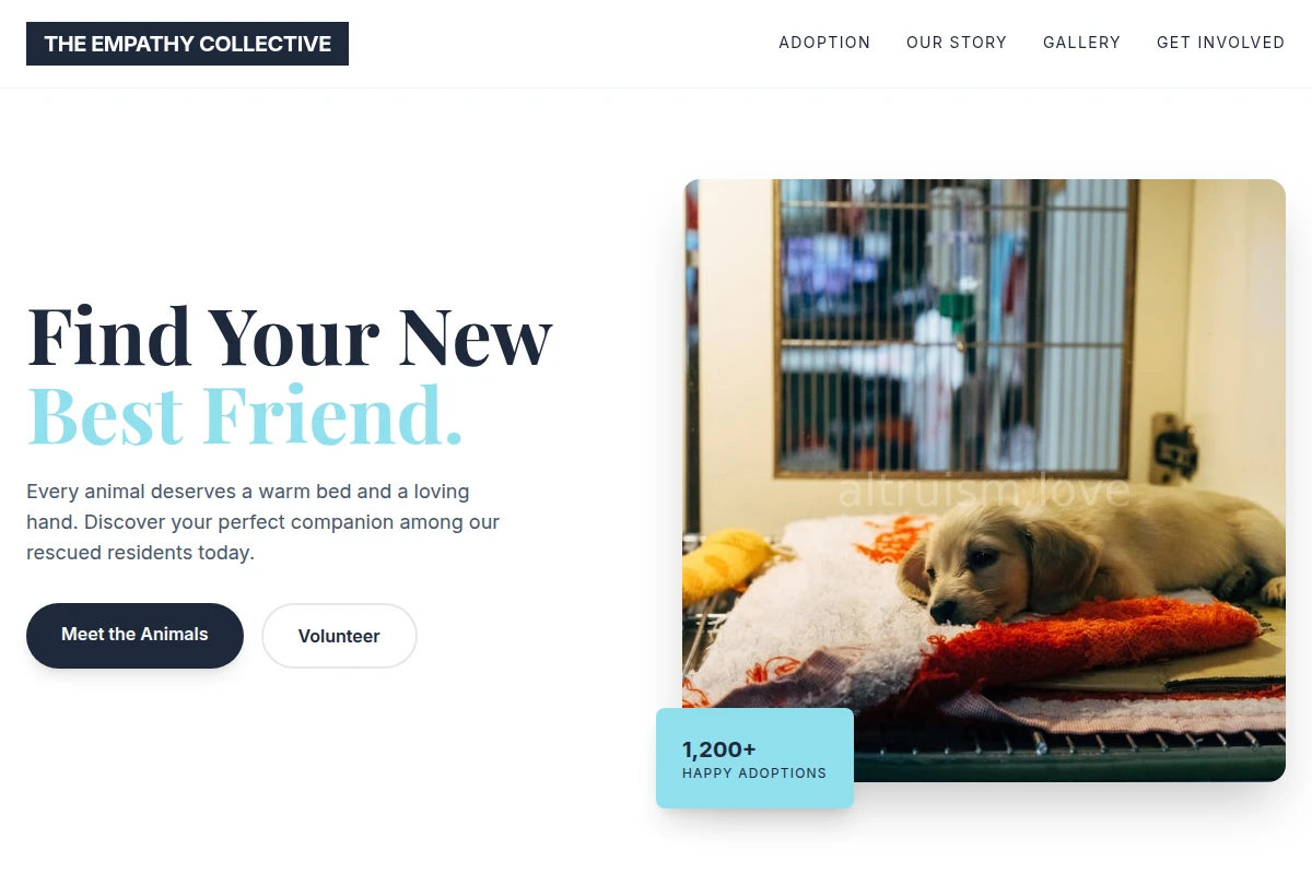 Vessel Animal Shelter