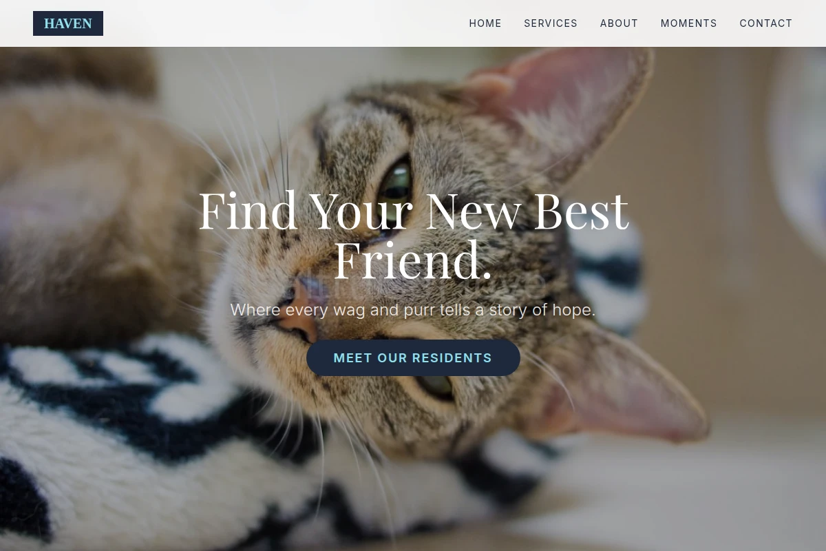 Haven Animal Shelter