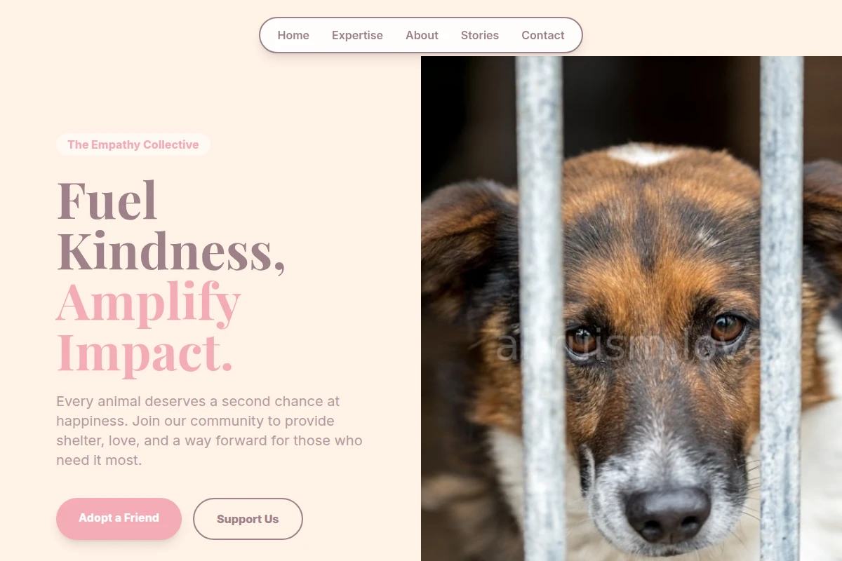 Root Animal Shelter