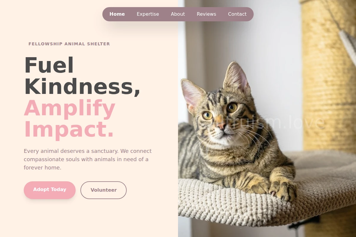 Fellowship Animal Shelter