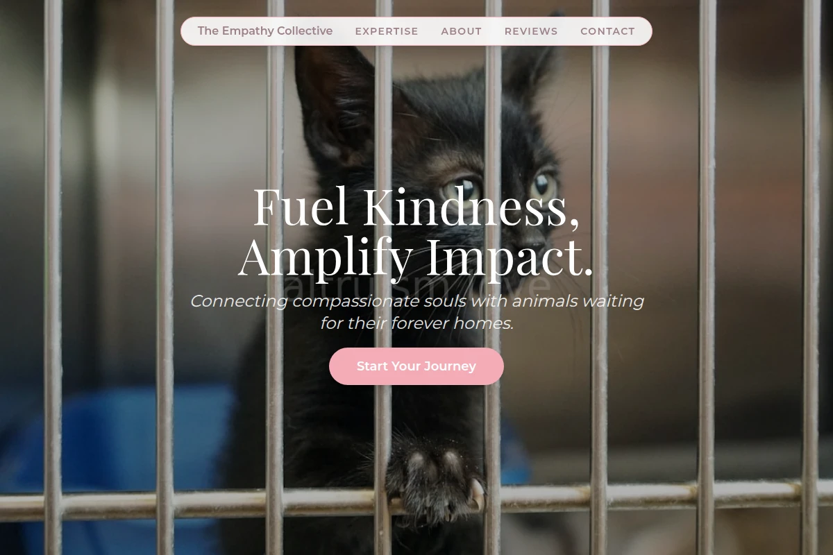 Compassion Animal Shelter