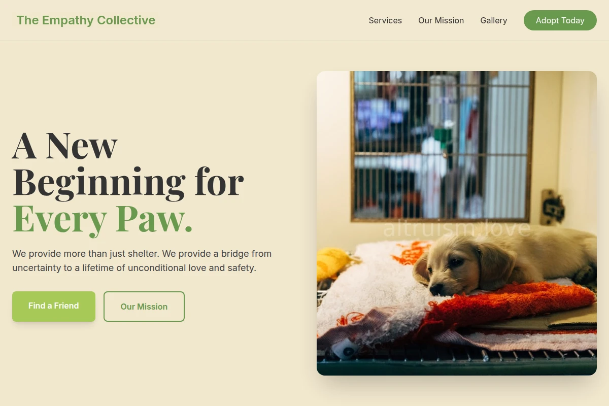 Tenderness Animal Shelter