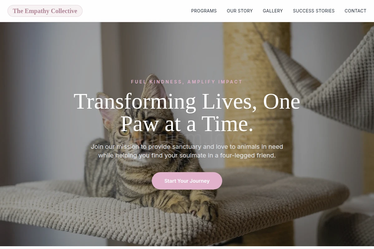 Haven Animal Shelter