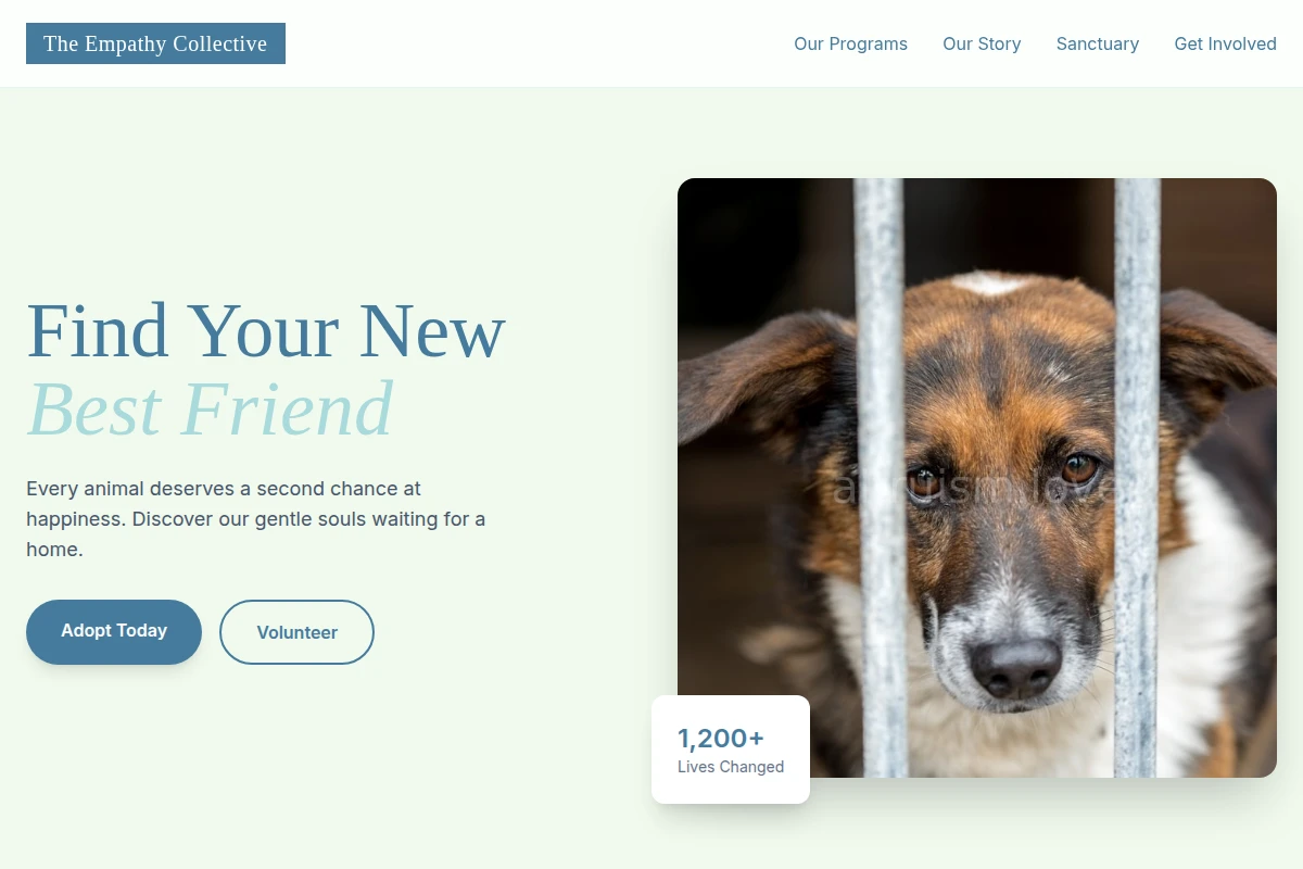 animal-shelter