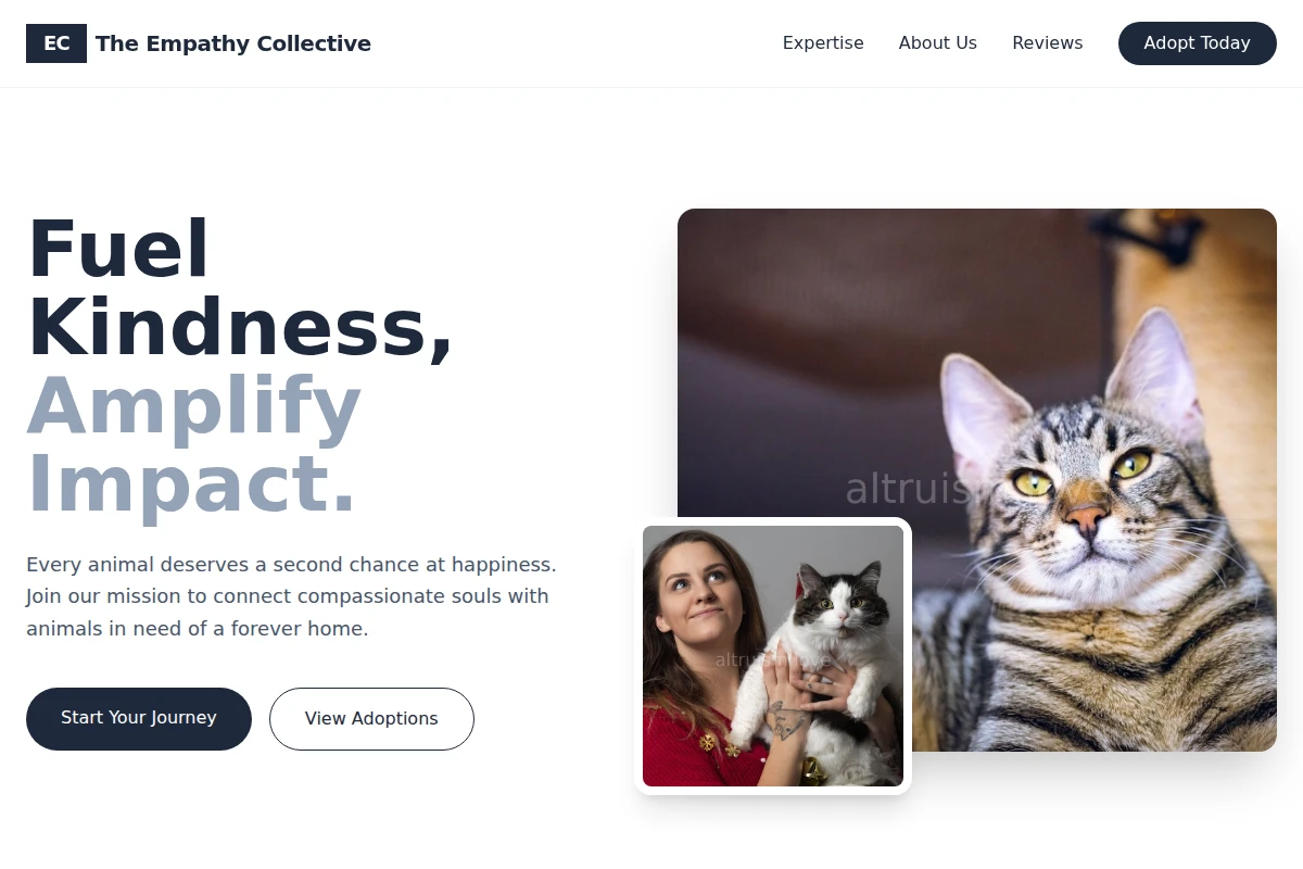 Impact Animal Shelter
