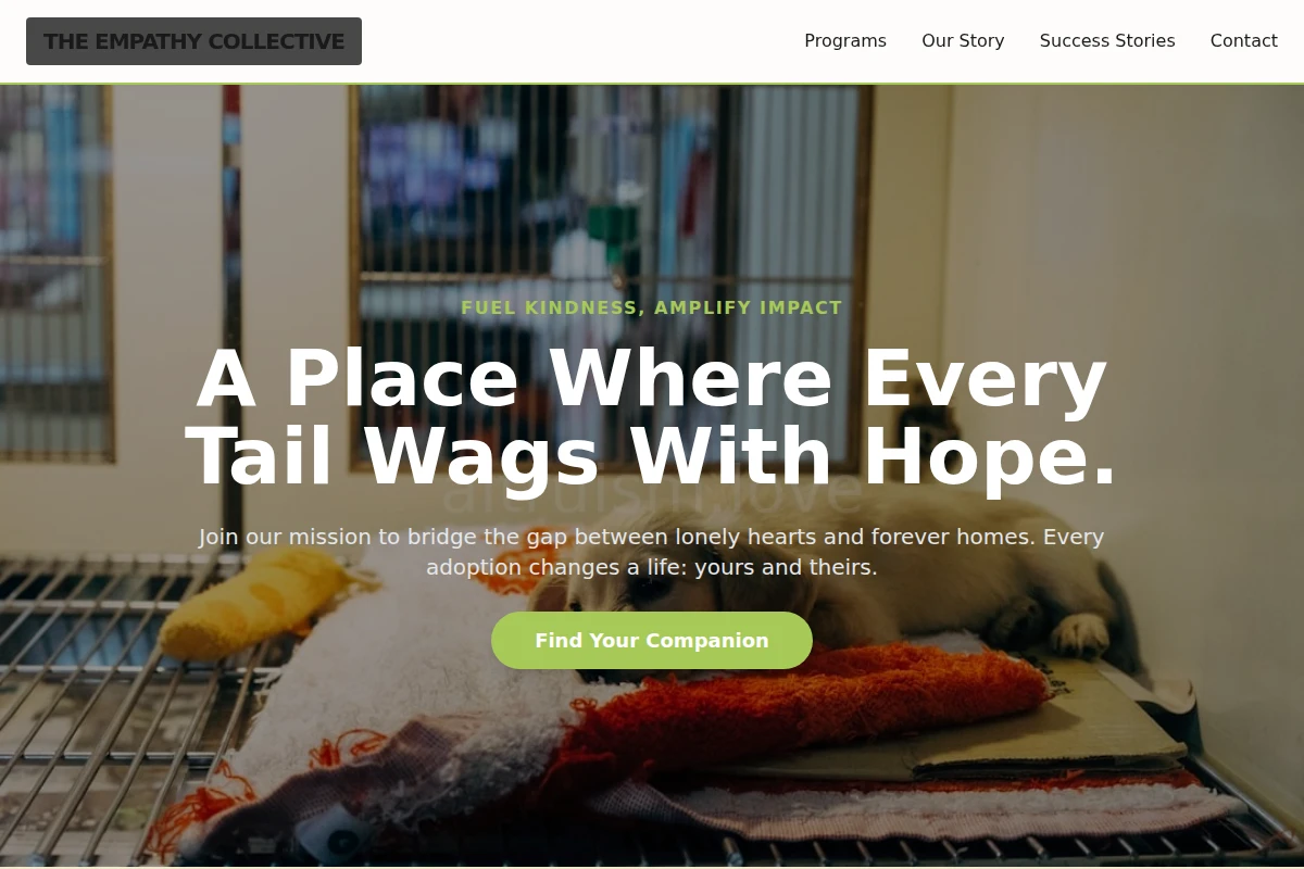 Haven Animal Shelter