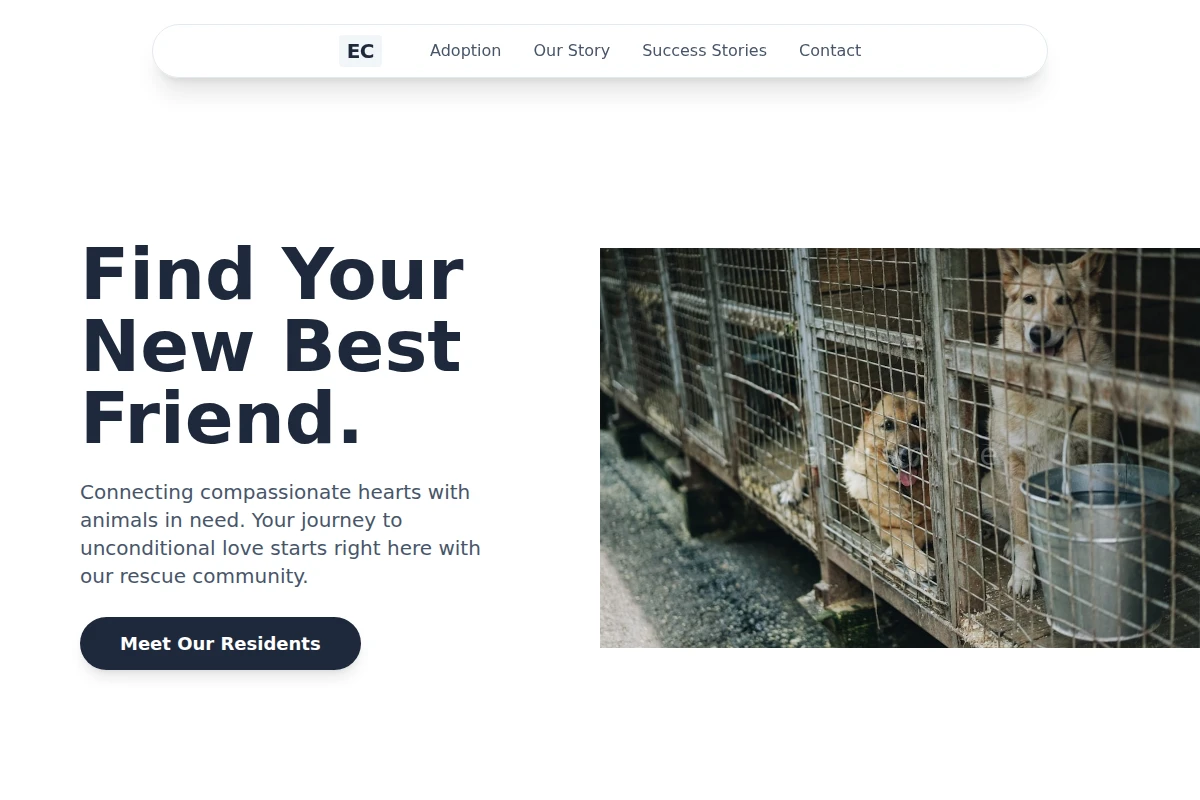 Shelter Animal Shelter