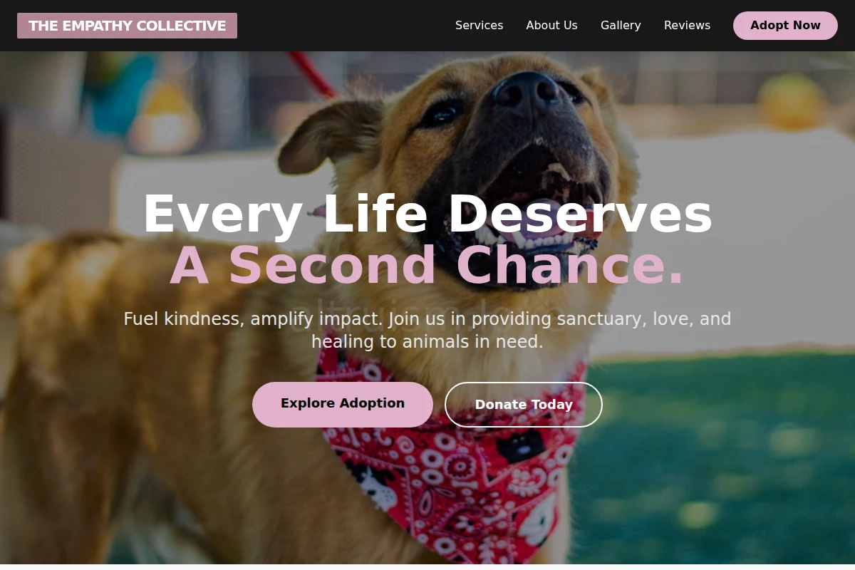 Anchor Animal Shelter