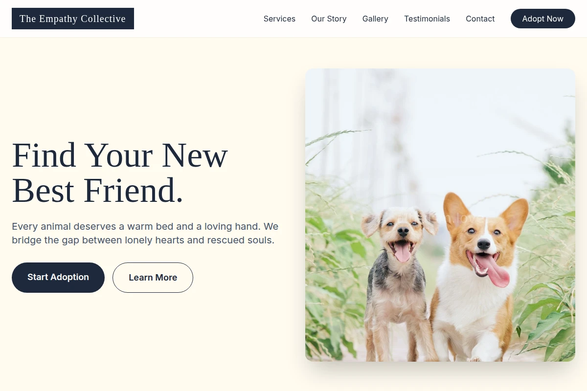 animal-shelter