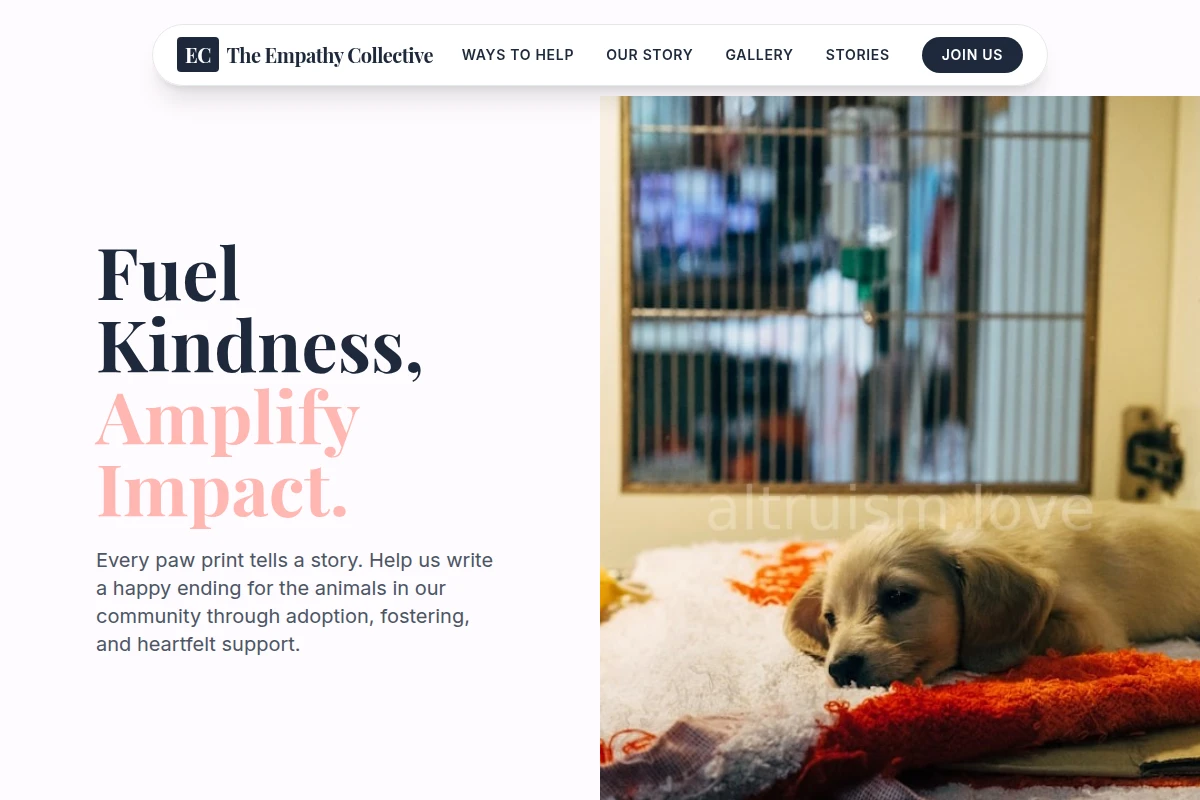 Flow Animal Shelter