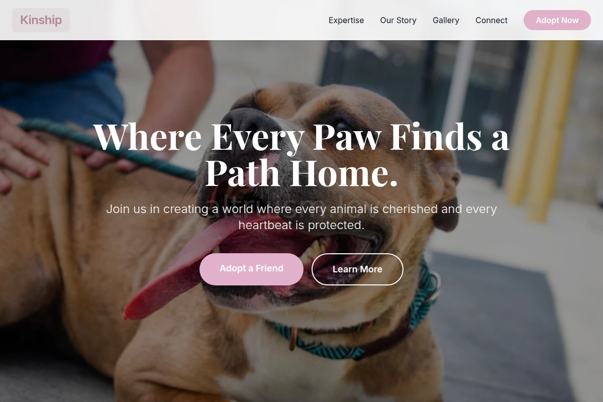Kinship Animal Shelter
