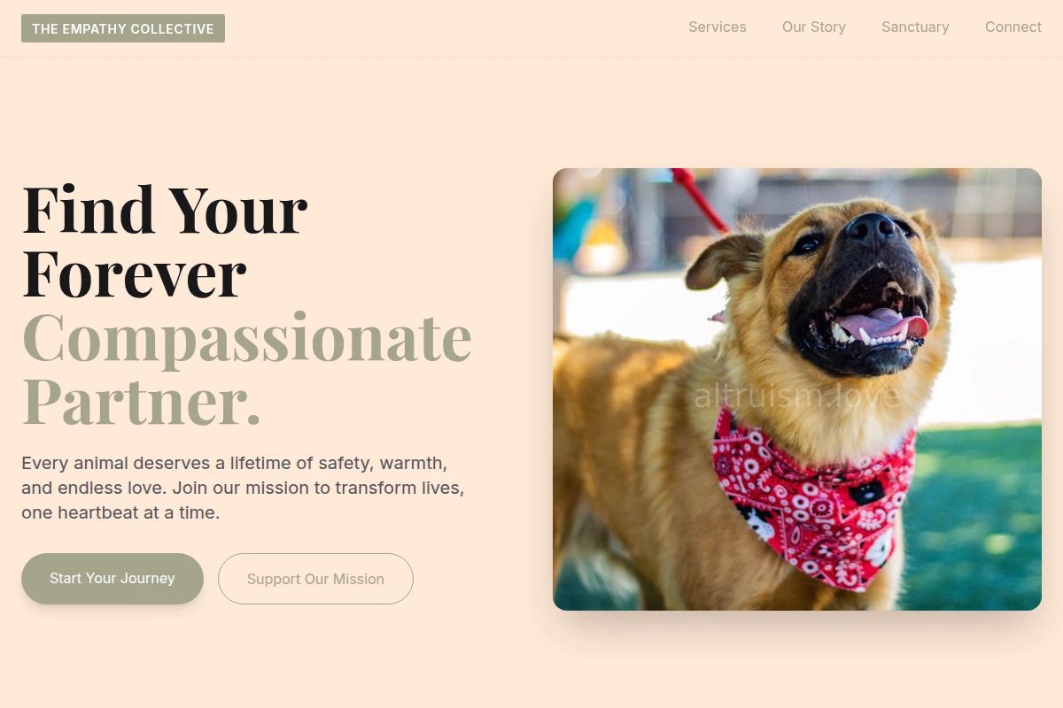 Nurture Animal Shelter