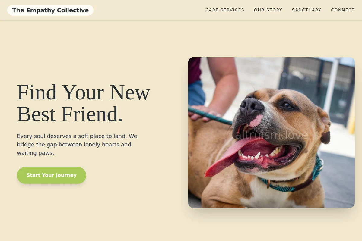 Tenderness Animal Shelter
