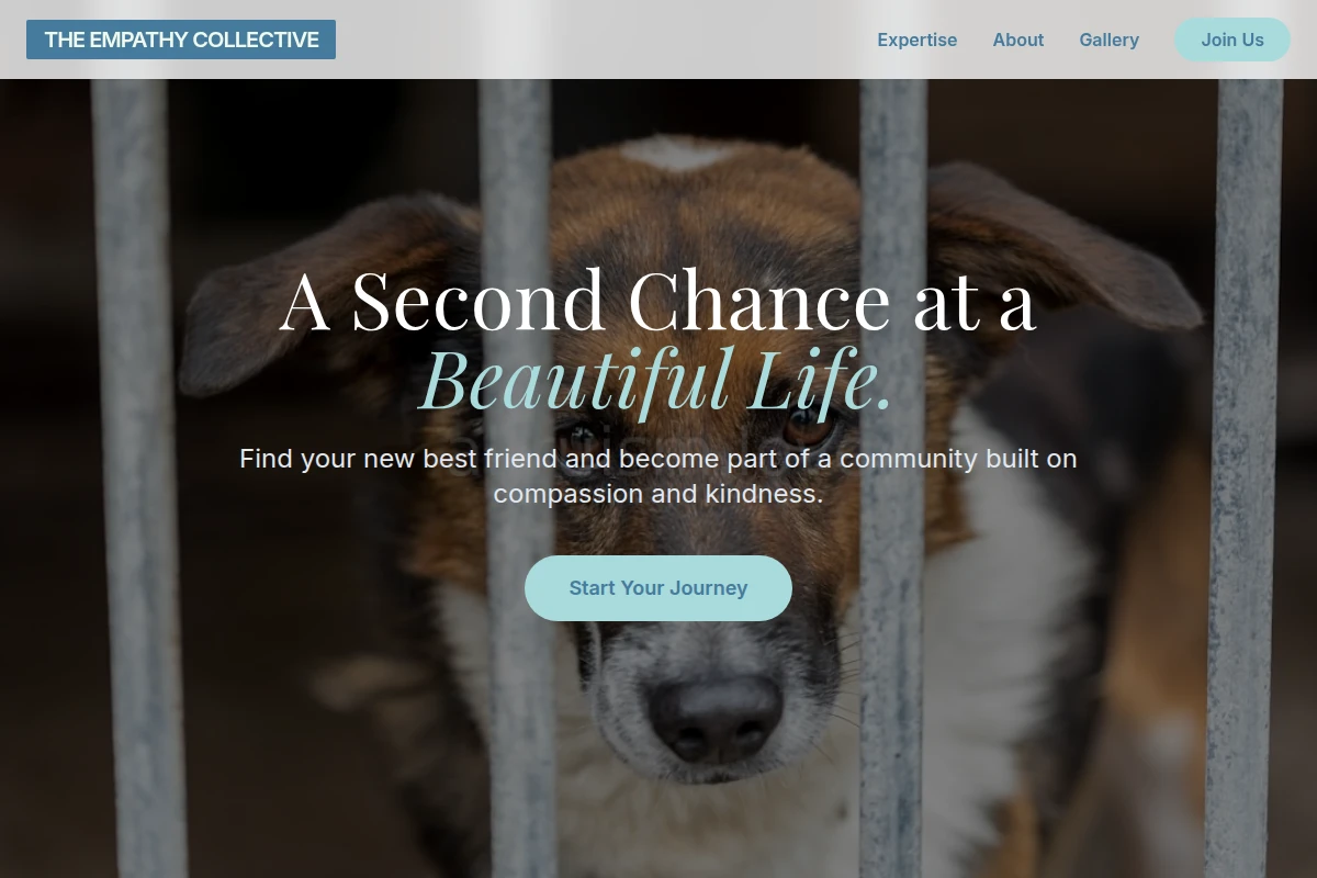 Community Animal Shelter