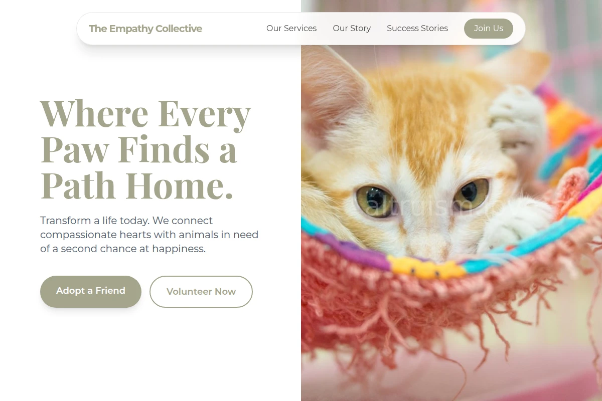 Soul Animal Shelter