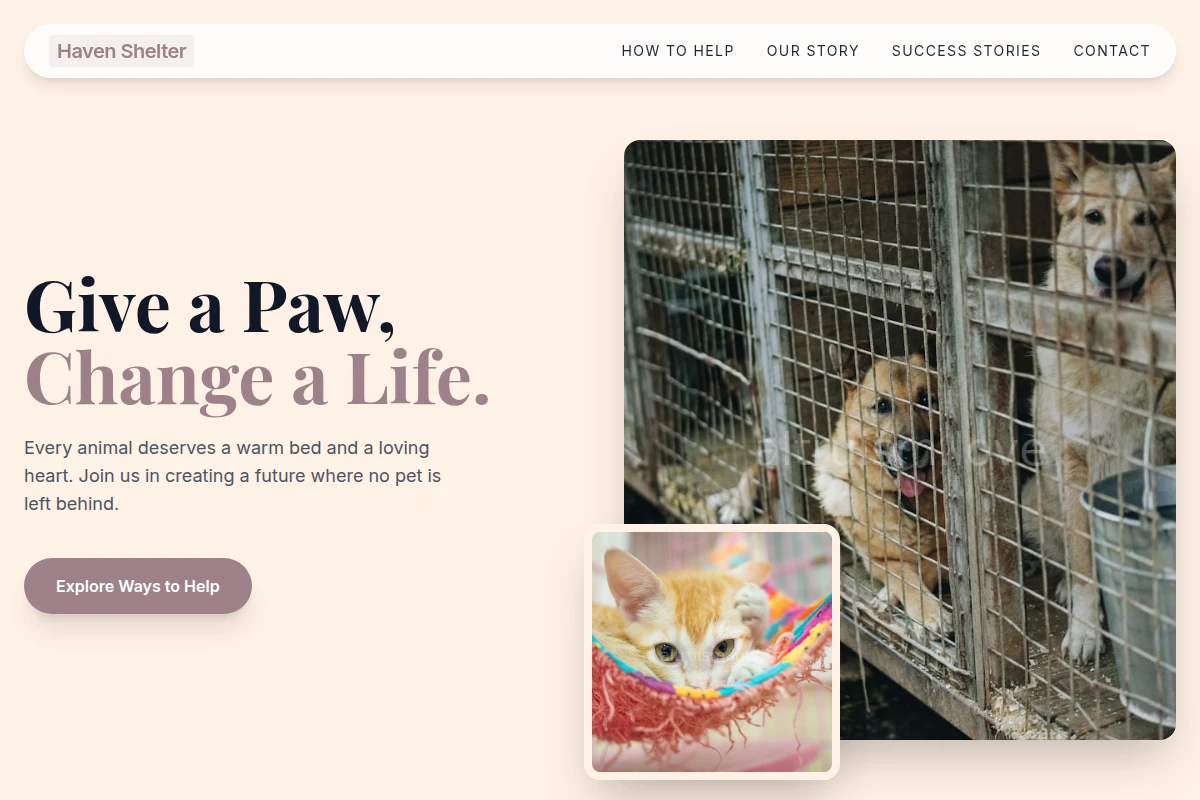 Haven Animal Shelter